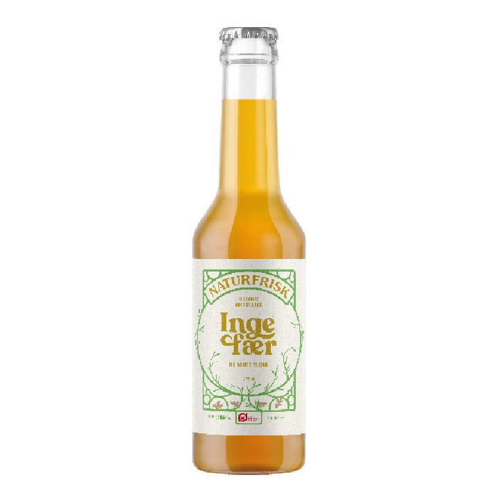 REFRESCO DE JENGIBRE 27,5 CL. (NATURFRISK)/
