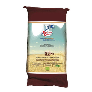 HARINA DE TRIGO SARRACENO INTEGRAL BIO 25 KG. (LA FINESTRA)