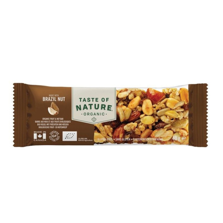 BARRITA DE NUECES DE BRASIL SIN GLUTEN BIO 40 GR. (TASTE OF NATURE)